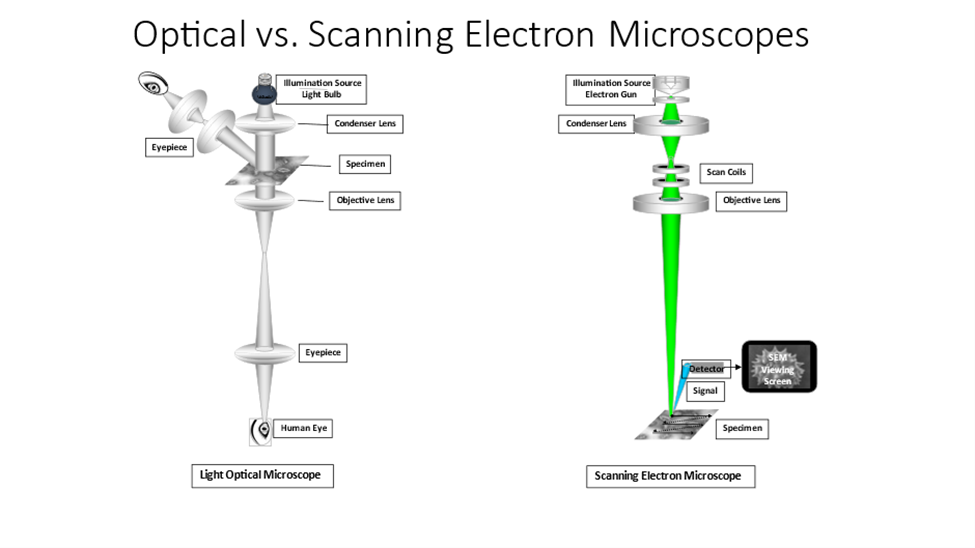 What is Scanning Electron Microscopy?